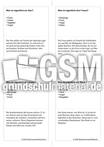 Quiz-Karten-Tiernamen 59.pdf